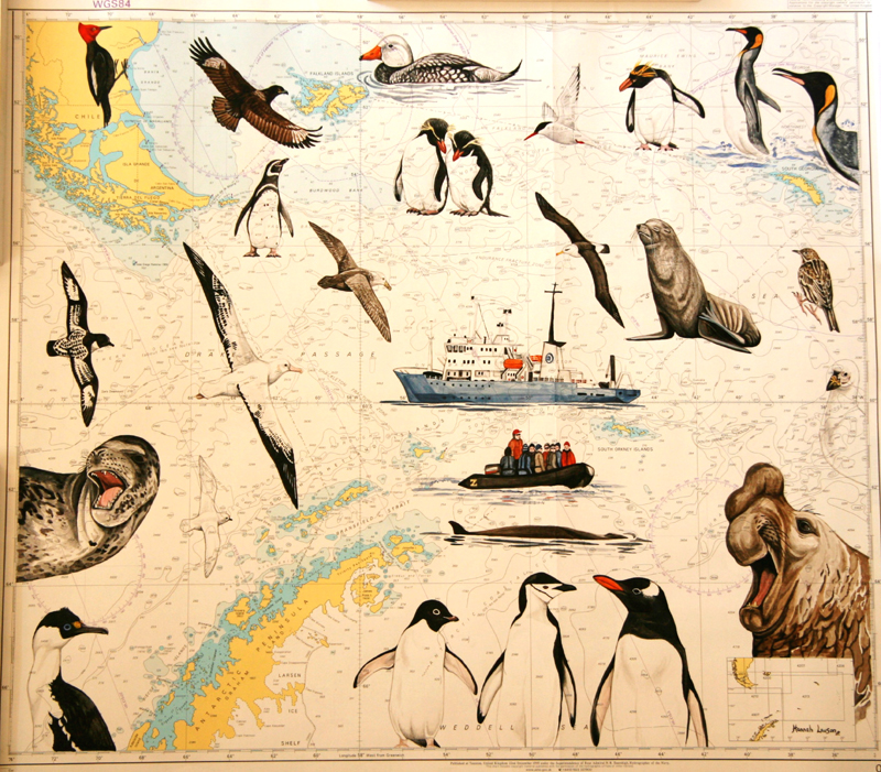 Badger's Sea Chart