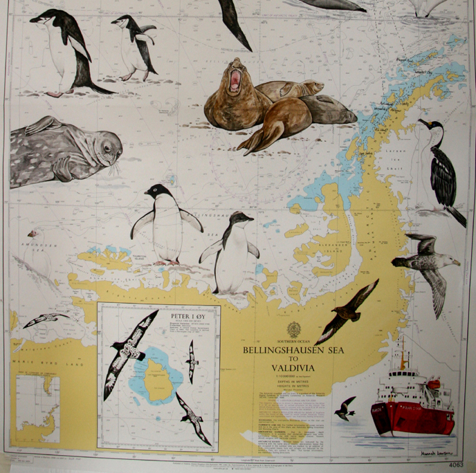 Antarctic sea chart detail